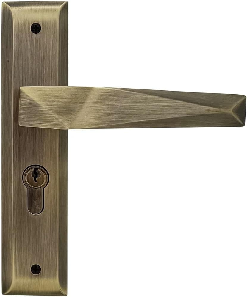 Smart Fingerprint & Passcode Keyless Entry Deadbolt Lock